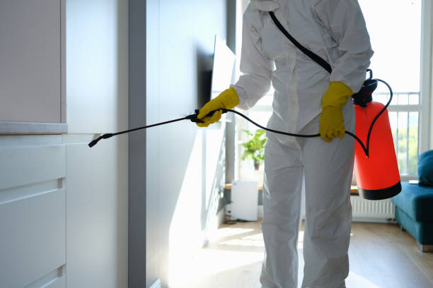 Best Kitchen Mold Remediation in Lake City, PA